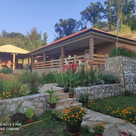 Vila Vera Borsko Jezero Buitenkant foto