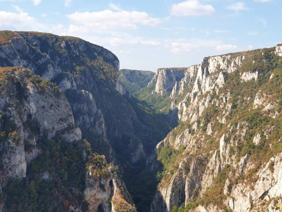 Vila Vera Borsko Jezero Buitenkant foto
