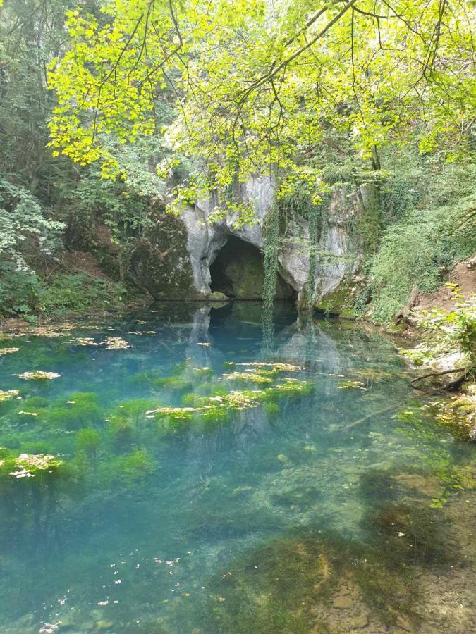 Vila Vera Borsko Jezero Buitenkant foto