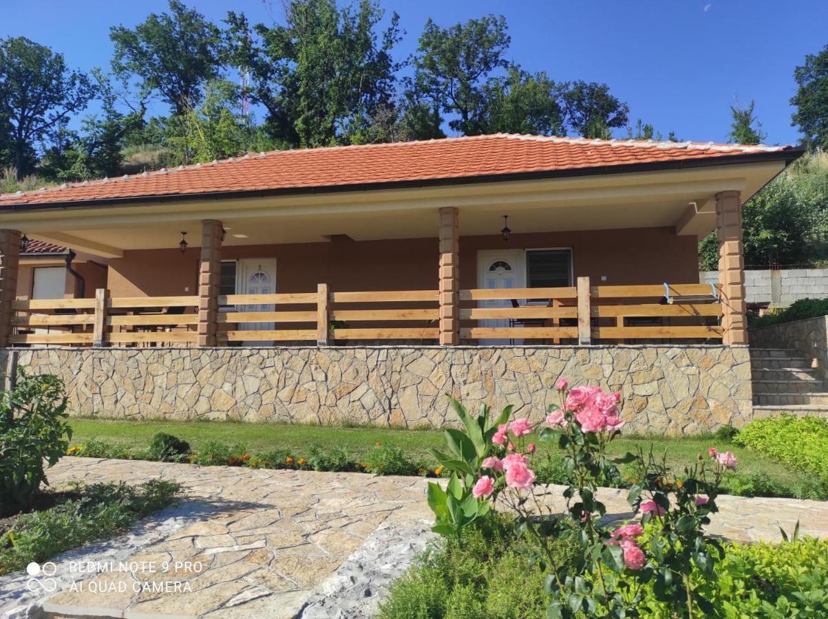 Vila Vera Borsko Jezero Buitenkant foto
