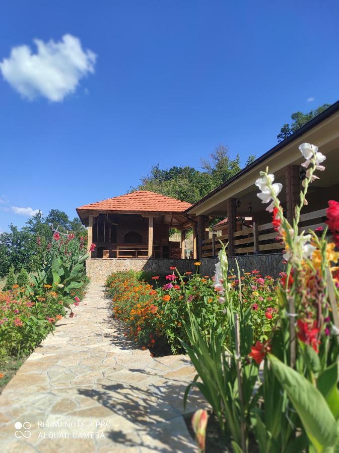 Vila Vera Borsko Jezero Buitenkant foto